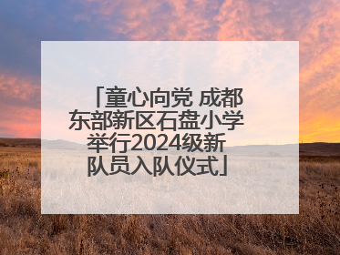 童心向党 成都东部新区石盘小学举行2024级新队员入队仪式