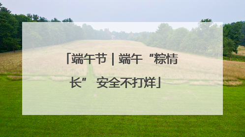 端午节｜端午“粽情长” 安全不打烊