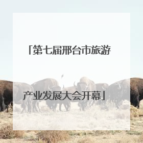 第七届邢台市旅游产业发展大会开幕