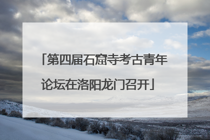 第四届石窟寺考古青年论坛在洛阳龙门召开