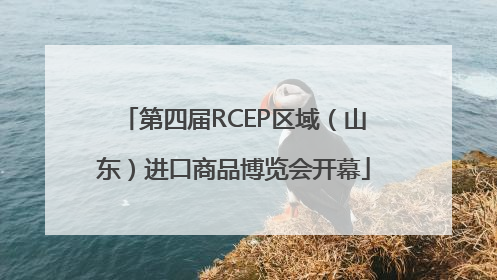 第四届RCEP区域（山东）进口商品博览会开幕