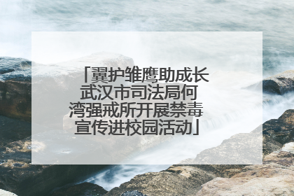 翼护雏鹰助成长 武汉市司法局何湾强戒所开展禁毒宣传进校园活动