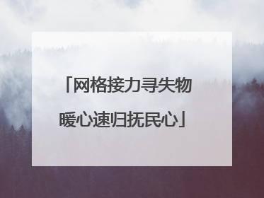 网格接力寻失物 暖心速归抚民心