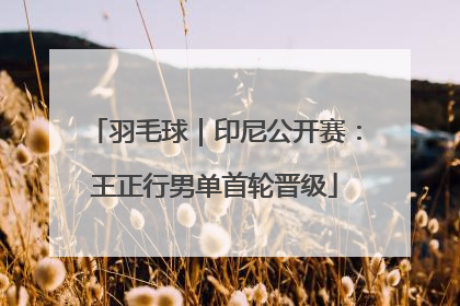 羽毛球｜印尼公开赛：王正行男单首轮晋级