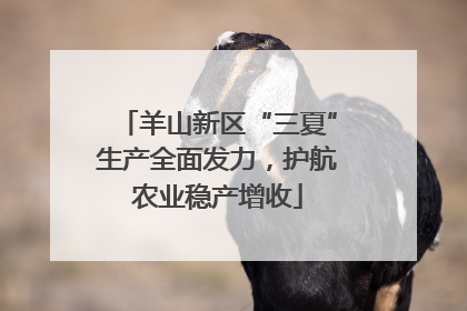羊山新区“三夏”生产全面发力，护航农业稳产增收