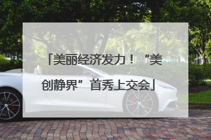 美丽经济发力！“美创静界”首秀上交会