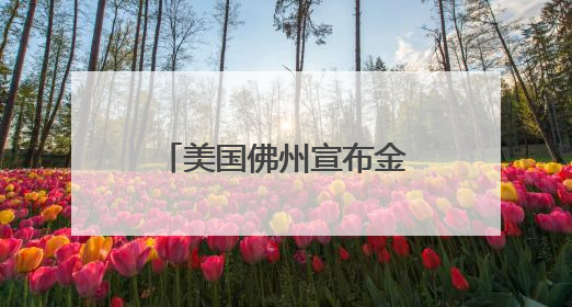 美国佛州宣布金银为法定货币