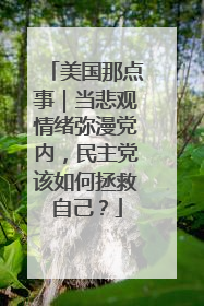 美国那点事｜当悲观情绪弥漫党内，民主党该如何拯救自己？