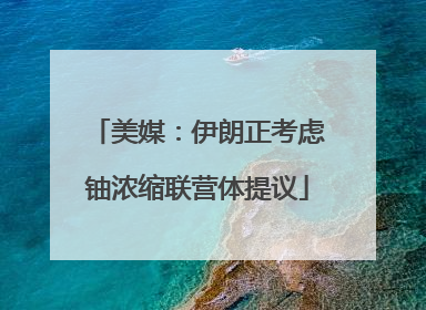 美媒：伊朗正考虑铀浓缩联营体提议