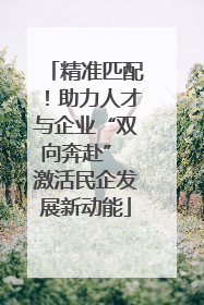 精准匹配！助力人才与企业“双向奔赴” 激活民企发展新动能