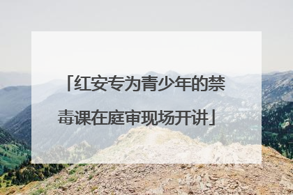 红安专为青少年的禁毒课在庭审现场开讲