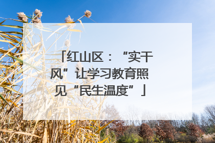 红山区：“实干风”让学习教育照见“民生温度”