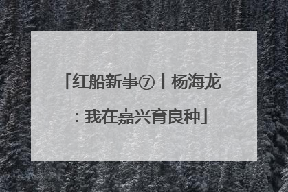 红船新事⑦丨杨海龙：我在嘉兴育良种