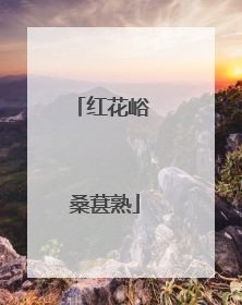 红花峪 桑葚熟
