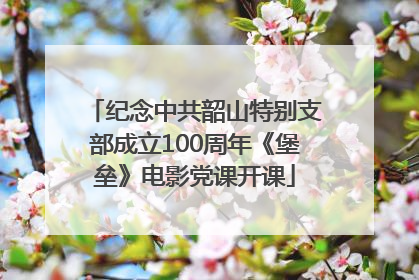纪念中共韶山特别支部成立100周年《堡垒》电影党课开课