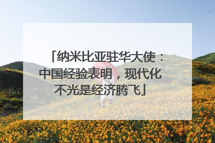 纳米比亚驻华大使：中国经验表明，现代化不光是经济腾飞