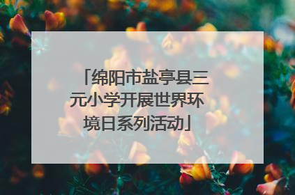 绵阳市盐亭县三元小学开展世界环境日系列活动
