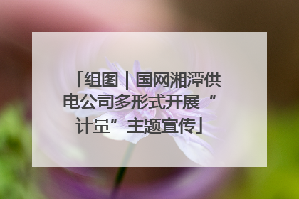 组图｜国网湘潭供电公司多形式开展“计量”主题宣传