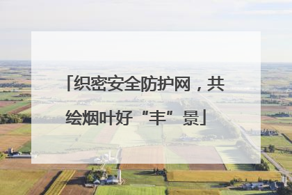 织密安全防护网，共绘烟叶好“丰”景