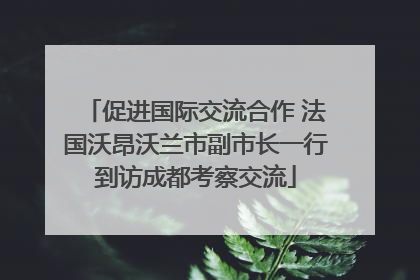 促进国际交流合作 法国沃昂沃兰市副市长一行到访成都考察交流