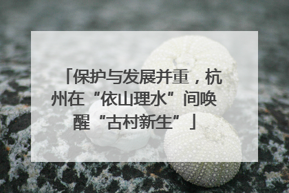 保护与发展并重，杭州在“依山理水”间唤醒“古村新生”