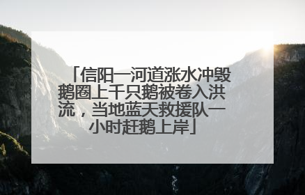 信阳一河道涨水冲毁鹅圈上千只鹅被卷入洪流，当地蓝天救援队一小时赶鹅上岸