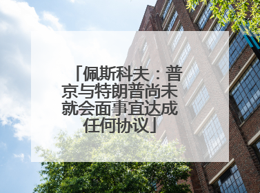 佩斯科夫：普京与特朗普尚未就会面事宜达成任何协议