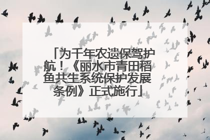 为千年农遗保驾护航！《丽水市青田稻鱼共生系统保护发展条例》正式施行