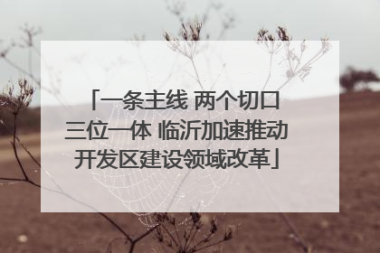 一条主线 两个切口 三位一体 临沂加速推动开发区建设领域改革