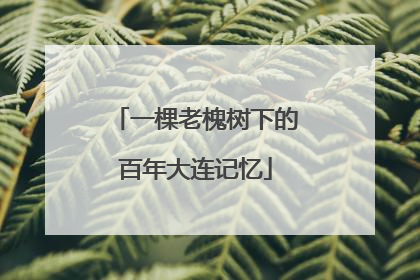 一棵老槐树下的百年大连记忆