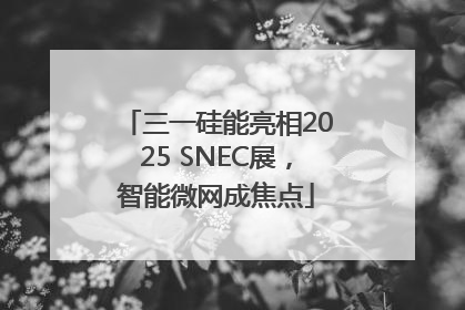 三一硅能亮相2025 SNEC展，智能微网成焦点