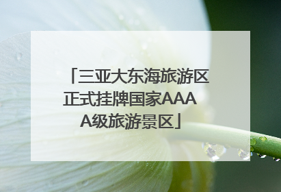 三亚大东海旅游区正式挂牌国家AAAA级旅游景区