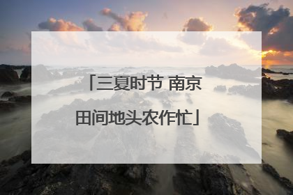 三夏时节 南京田间地头农作忙