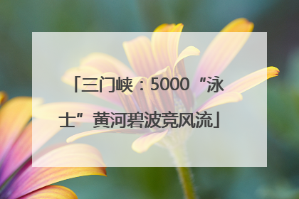 三门峡：5000“泳士”黄河碧波竞风流