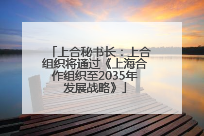 上合秘书长：上合组织将通过《上海合作组织至2035年发展战略》