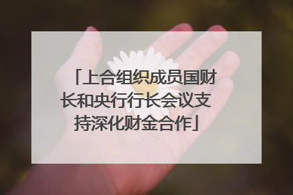 上合组织成员国财长和央行行长会议支持深化财金合作