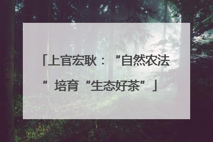 上官宏耿：“自然农法”培育“生态好茶”