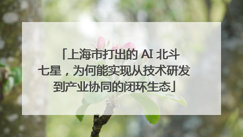 上海市打出的 AI 北斗七星，为何能实现从技术研发到产业协同的闭环生态