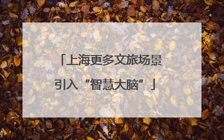 上海更多文旅场景引入“智慧大脑”