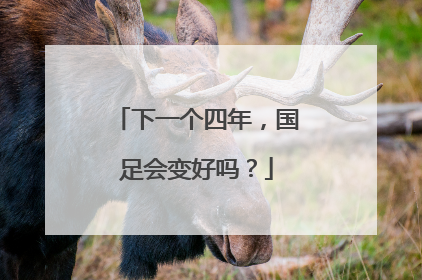 下一个四年，国足会变好吗？