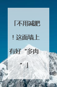 不用减肥！这面墙上有好“多肉”