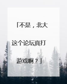 不是，北大这个论坛真打游戏啊？