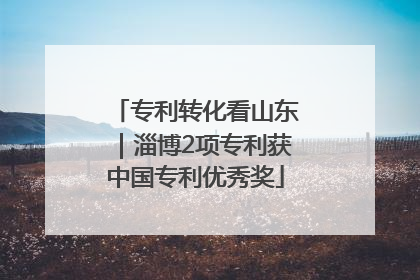 专利转化看山东｜淄博2项专利获中国专利优秀奖