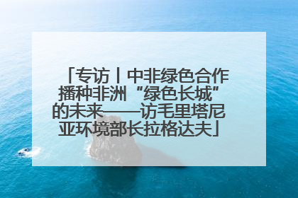 专访丨中非绿色合作播种非洲“绿色长城”的未来——访毛里塔尼亚环境部长拉格达夫