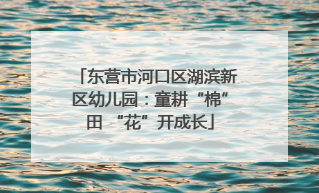 东营市河口区湖滨新区幼儿园：童耕“棉”田 “花”开成长