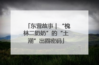 东营故事｜“槐林二奶奶”的“土潮”出圈密码