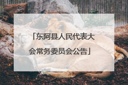 东阿县人民代表大会常务委员会公告
