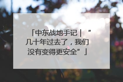中东战地手记｜“几十年过去了，我们没有变得更安全”