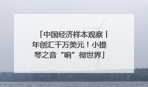 中国经济样本观察丨年创汇千万美元！小提琴之音“响”彻世界