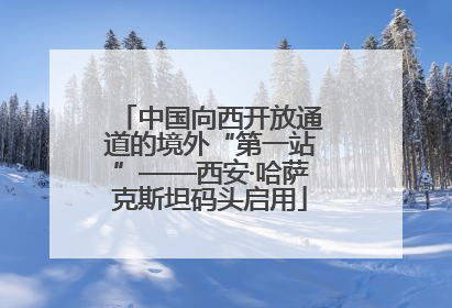 中国向西开放通道的境外“第一站”——西安·哈萨克斯坦码头启用